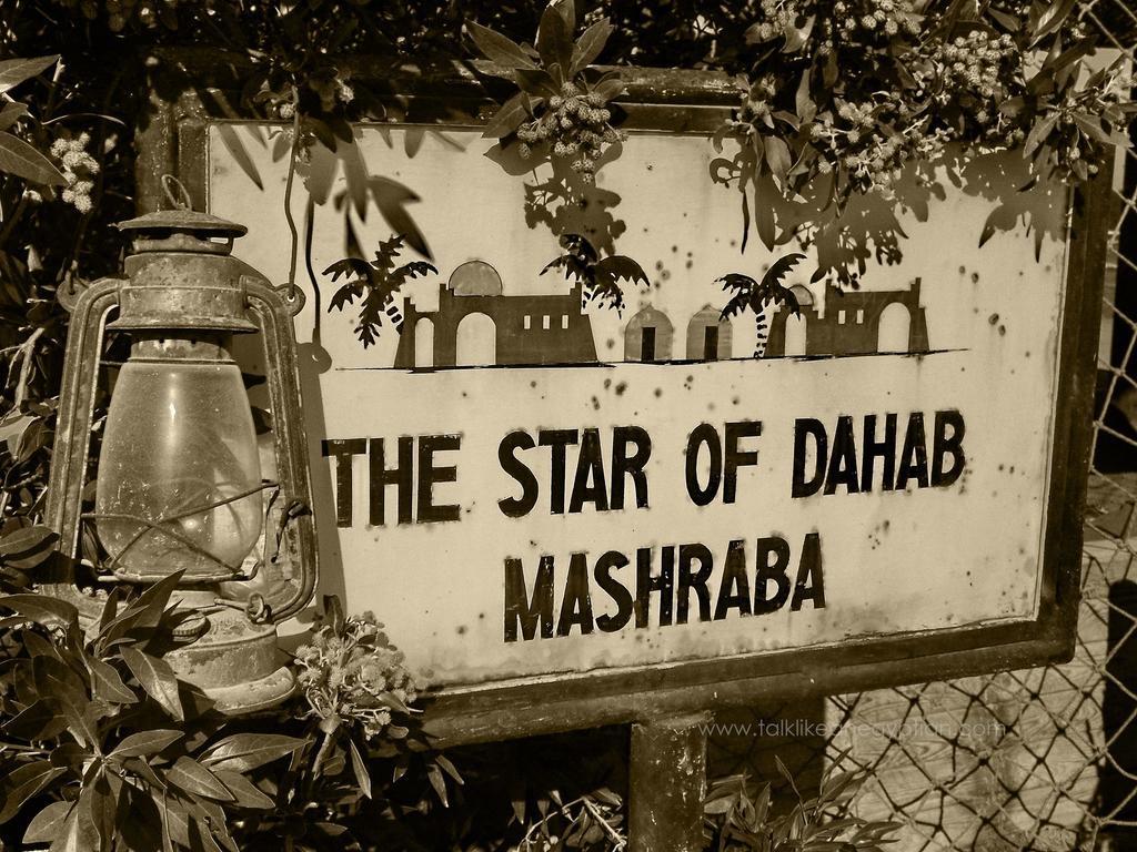 Star Of Dahab Hotel Номер фото